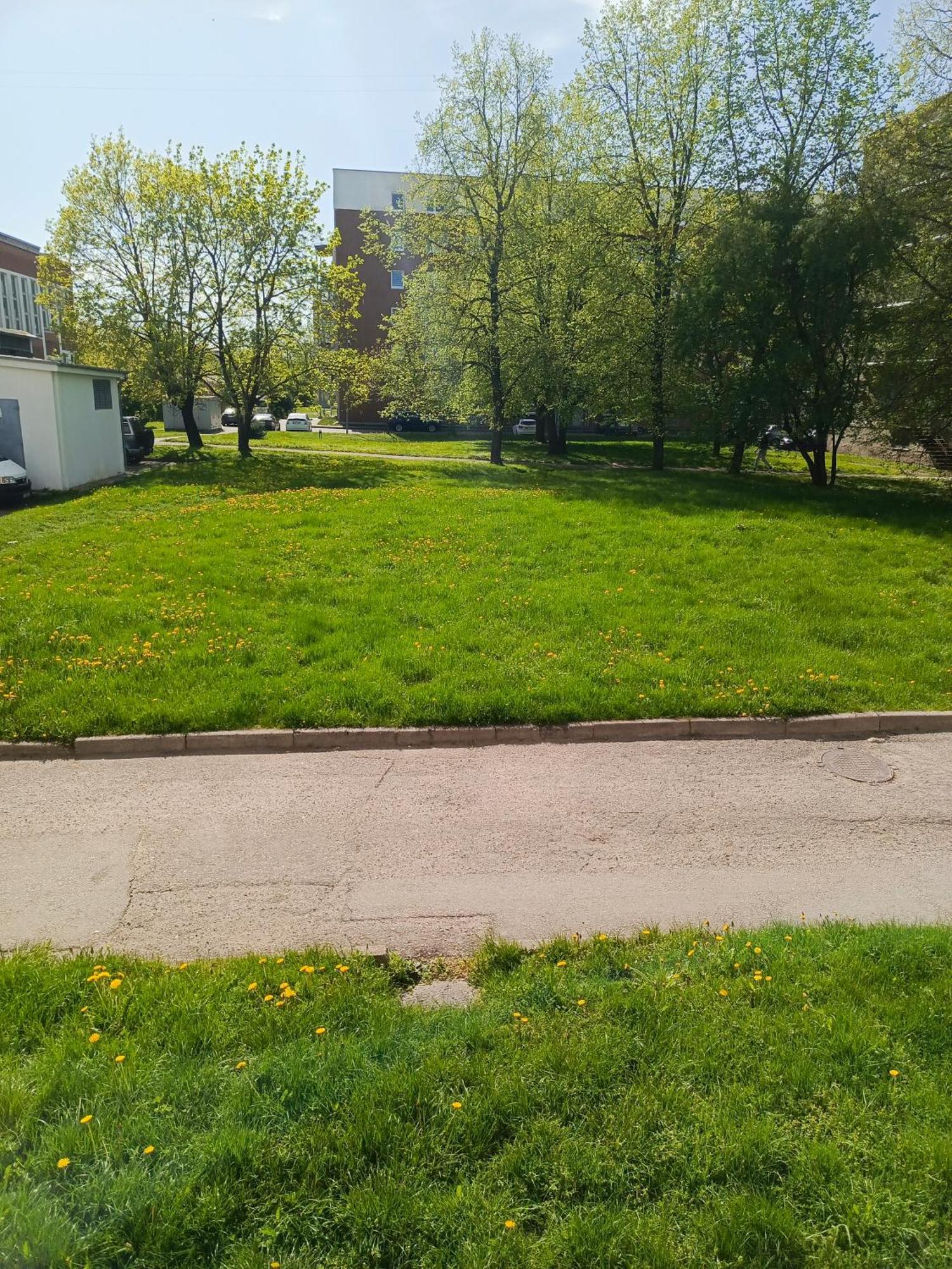 Appartement Allegro Apartamentai Self Check In Klaipėda